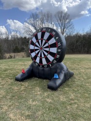 IMG 2299 1744657407 Mega Dart Board